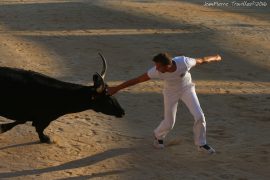course-stag-(06)