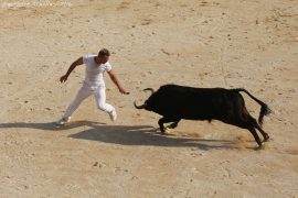 course-taureau-jeun18-(05)