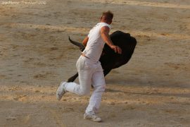 course-taureau-jeun18-(14)