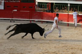 course-taureau-jeun18-(16)
