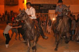 festival-(04)