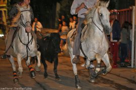 festival-abriv20-(03)