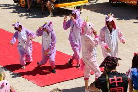 fete-vauvert-(051)
