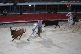 olympiades18-(05)