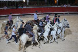 olympiades18-(06)
