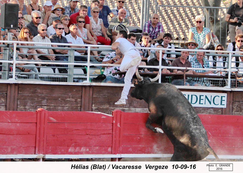 00_helias-blat_vacaresse_1
