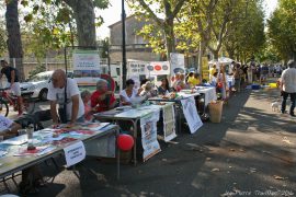 06_forum-asso-05
