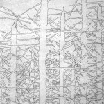 06_foret-detail-150x150