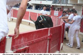 08_quarantesous-st-antoine_patte-coincee_2