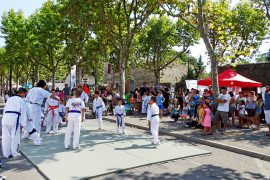 11_fete_des_associations