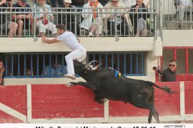12_milo-le-ternen_marignan_1