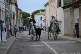 bandido-03
