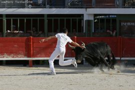 course-avenir-007