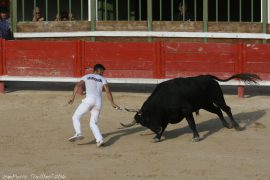 course-avenir-009
