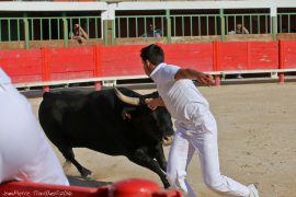 course-avenir-016