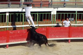 course-avenir-024