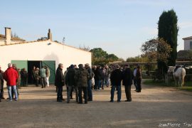 bistournage-005
