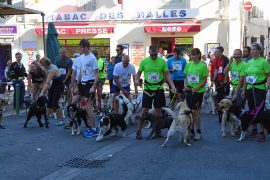 01_canicross_15 09 06