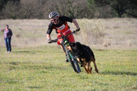 01_canicross_de_vauvert