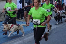 066_départ cani