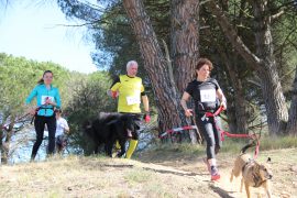 06_canicross_de_vauvert