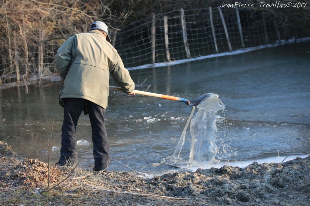 blatiere-glace.02