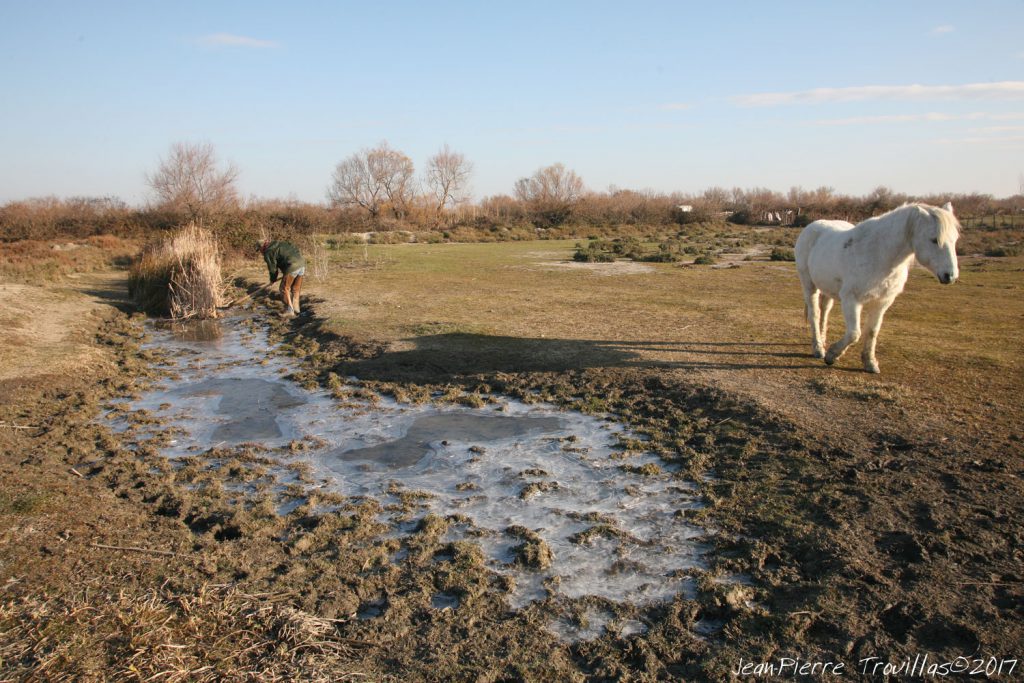 blatiere-glace.07