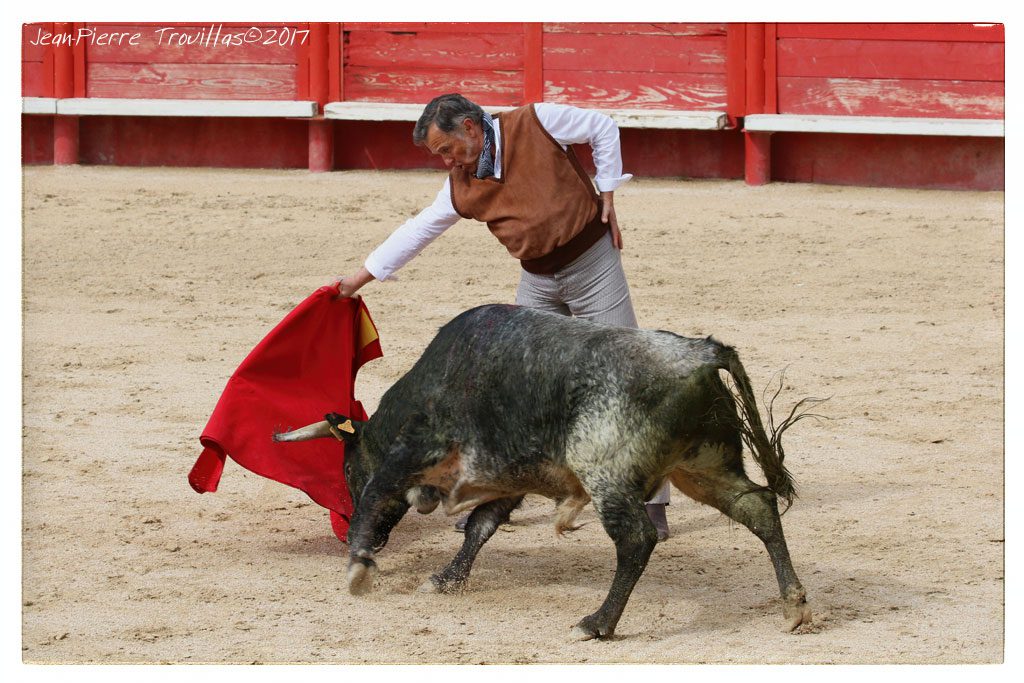 tienta-macho-05