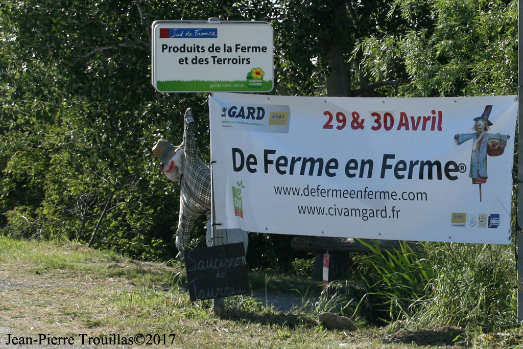De Ferme en Ferme en Camargue Gardoise