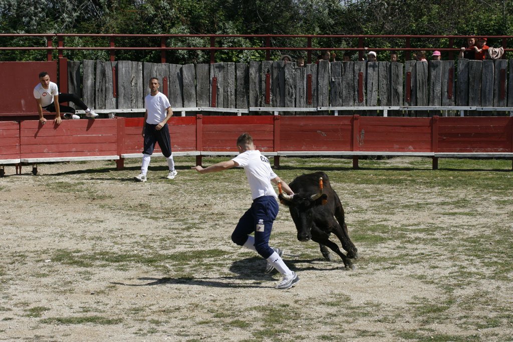 Des adolescents découvrent la Camargue Gardoise