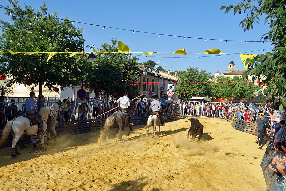 C’est parti pour le 130<sup>ème</sup> anniversaire de « L’Abrivado »