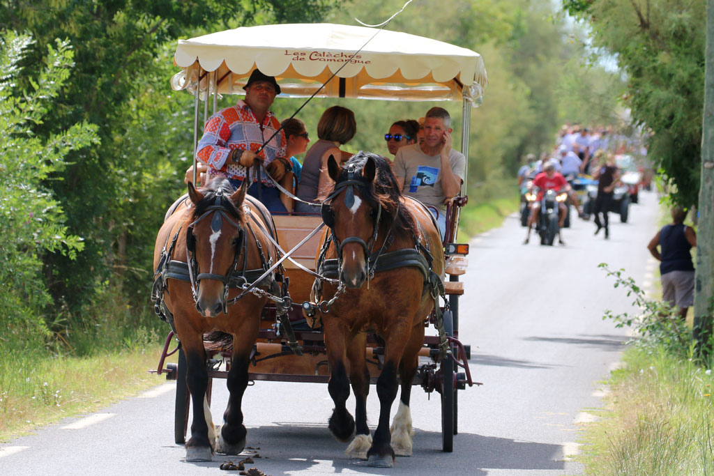 Gallician en fête : une belle abrivado