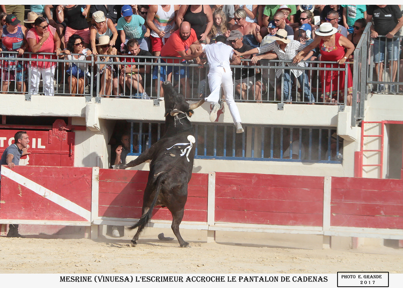 Course du Grau du Roi : Beaucoup de folklore…