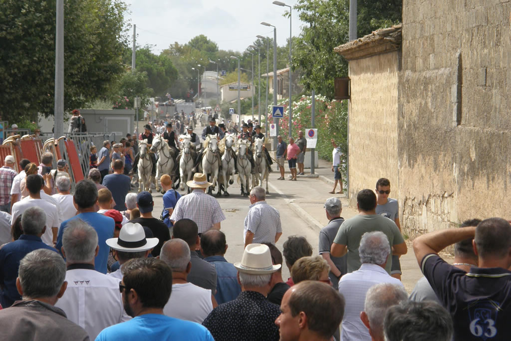 Fête de Gallician : gros succès pour le concours d’abrivado