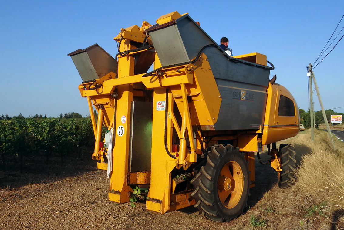 Des vendanges extrêmement précoces