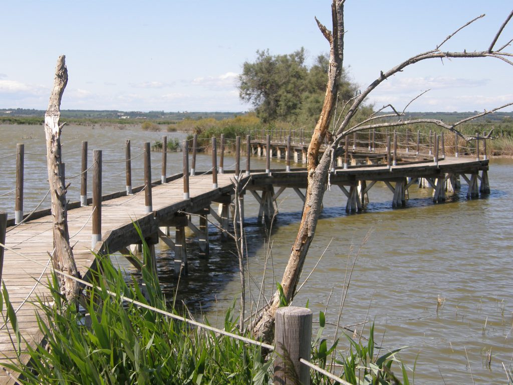 Les journées du patrimoine en Petite Camargue