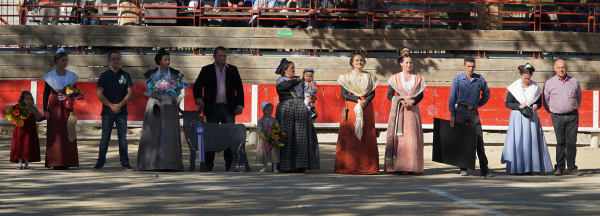 Beauvoisin : Manade Cavallini 30 ans de présence aux arènes avec une royale.