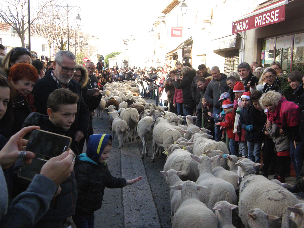Vauvert : La foule des grands jours de fête au marché de Noël