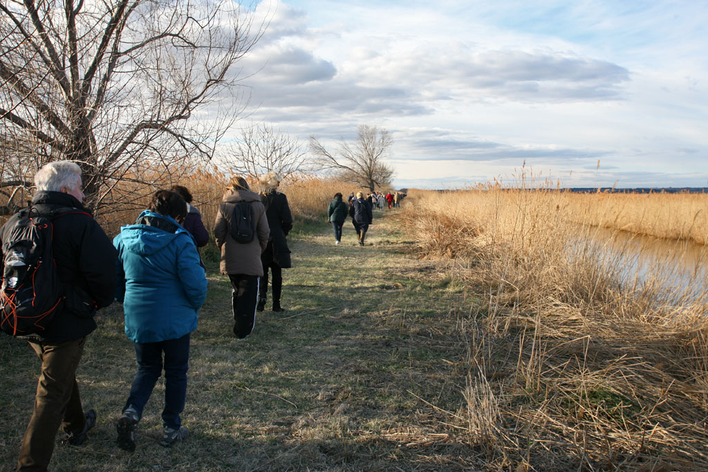 « Symphonie du Scamandre » pour célébrer l’anniversaire de la convention de Ramsar