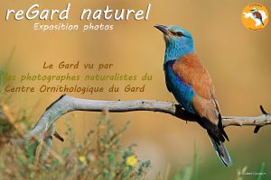 affiche-expo-regard naturel