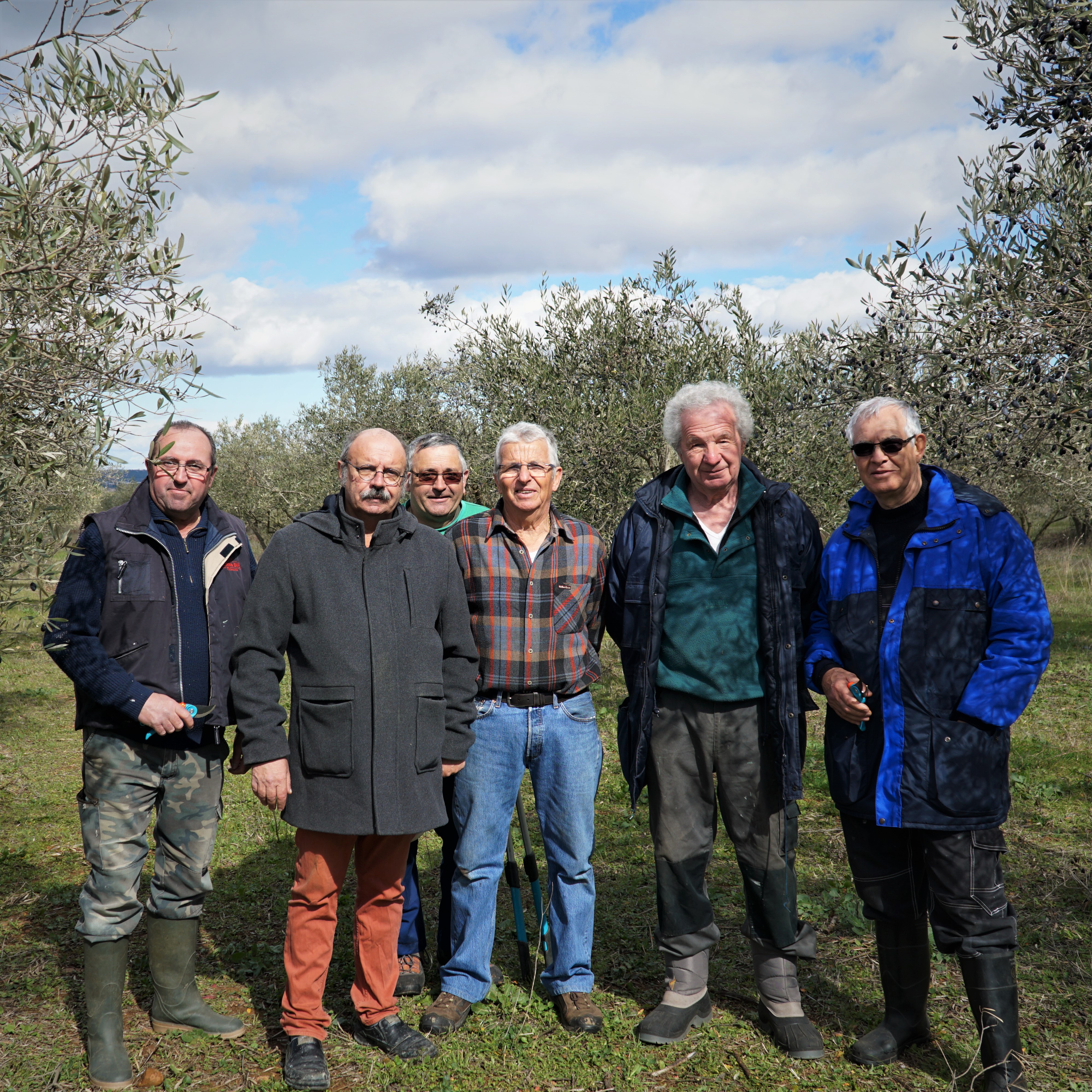 Aubord :  Démonstration de taille d’olivier au verger municipal