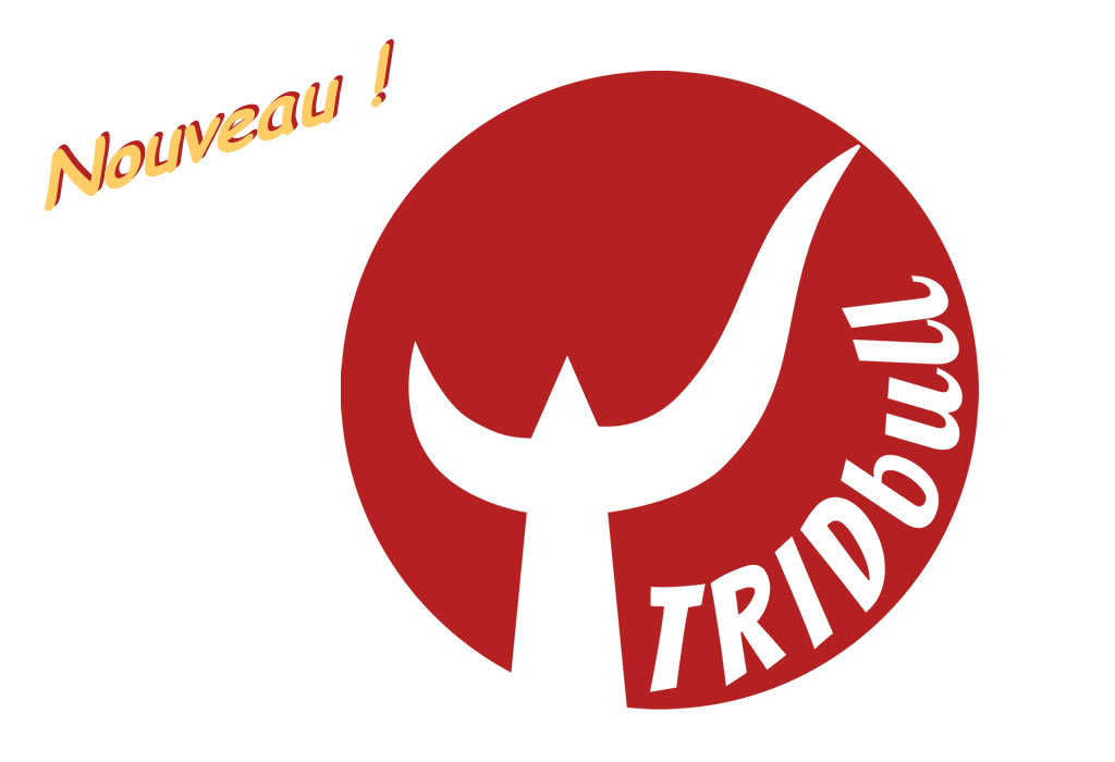 Nouveau ! TRIDbull le jeu sur la course camarguaise