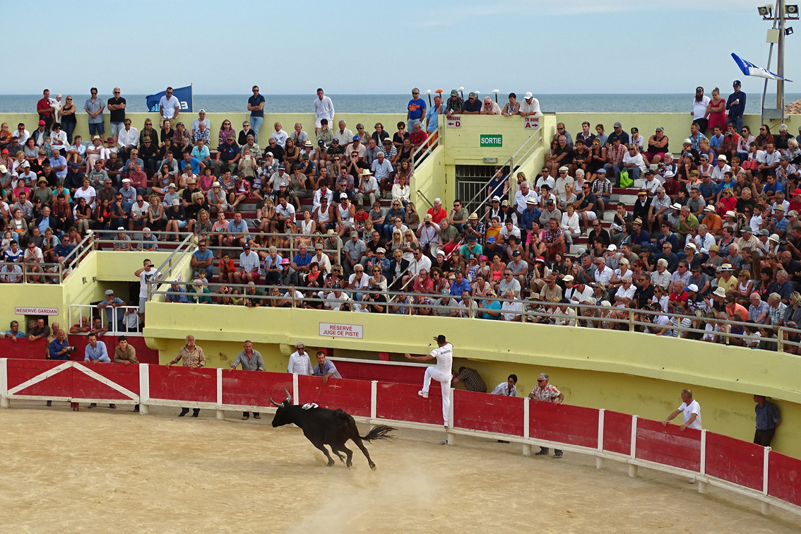 Les Saintes-Maries de la Mer : Le Tridbull entre en piste