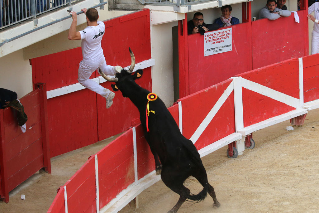 Tridbull : Clap Première au Grau du Roi !