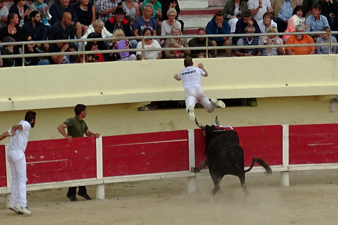 Le TRIDbull aux Saintes-Maries de la Mer