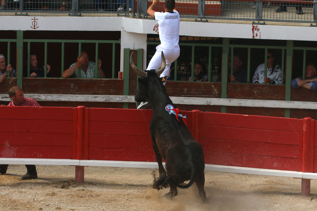 Vauvert : Course des As, 2éme journée du trophée Camargue médical