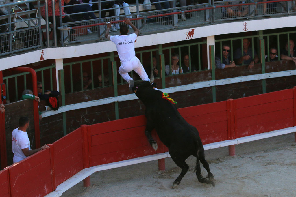 Vauvert joue au TRIDbull