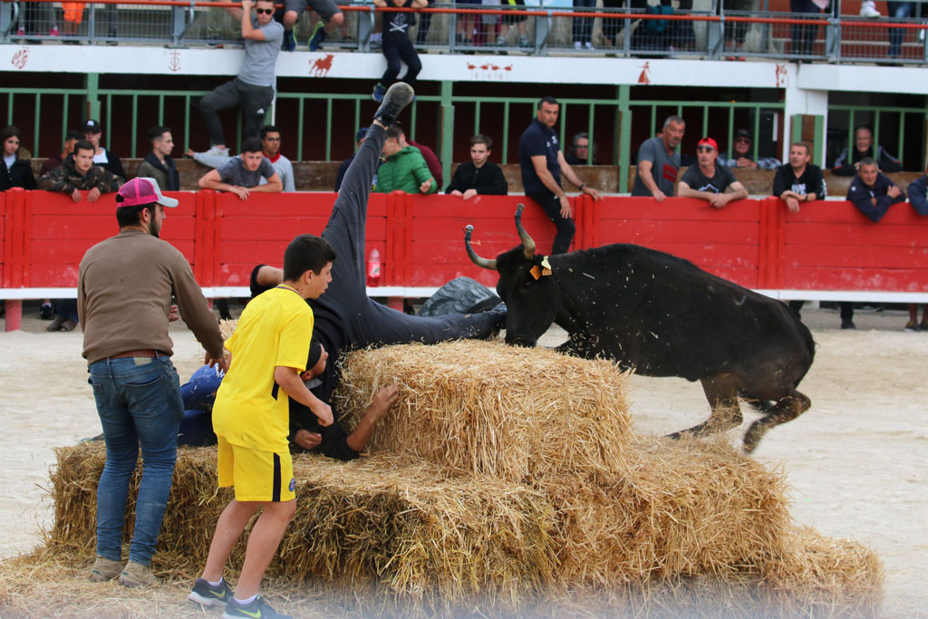 Vauvert : retour en image sur la fête des 10 ans de Camargua Forza
