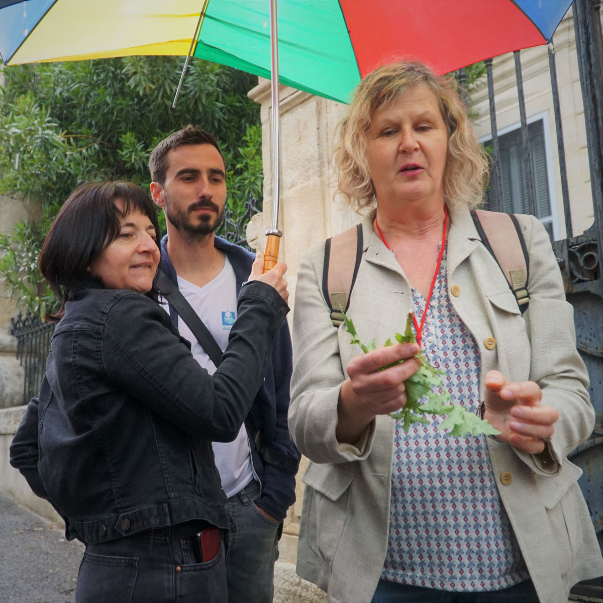 Beauvoisin : Balade parmi les plantes des rues