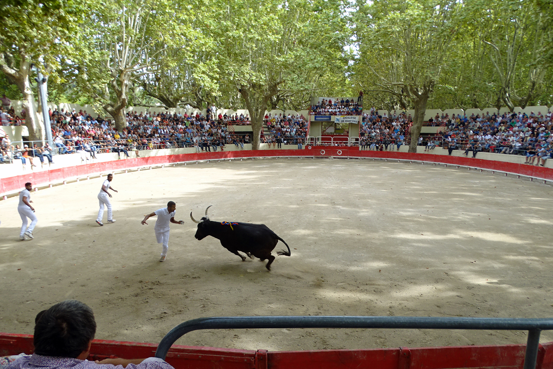Le Tridbull aux arènes de Sommières